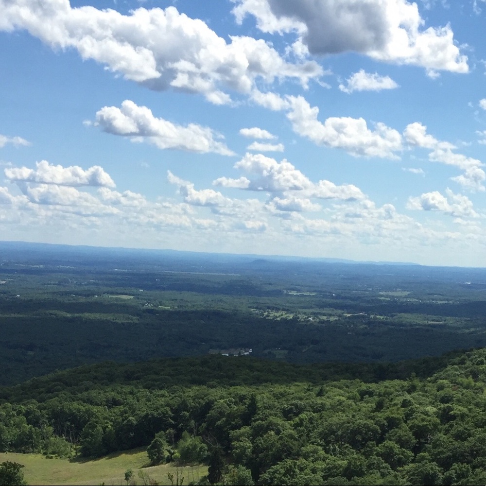 Meet your Posher, Kelsey